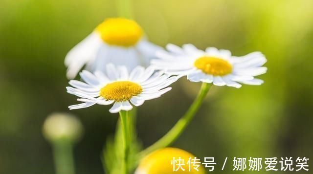 旧情人|8月，岁月如水，痴情不已，3生肖心心念念，再度邂逅旧情人