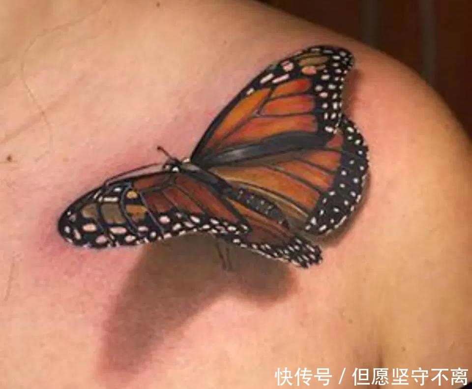 栩栩如生|栩栩如生的3D纹身,让你看起来更美