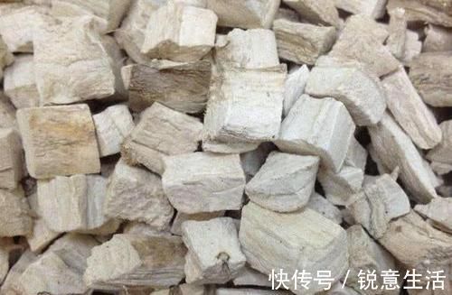 鱼肉|肝不好的人,谨记多吃这几样食物,修复肝细胞,肝脏更舒服