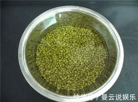 阳台上|一个空可乐瓶,一把绿豆,3天窜出满满一盆豆芽!“好养”又好吃