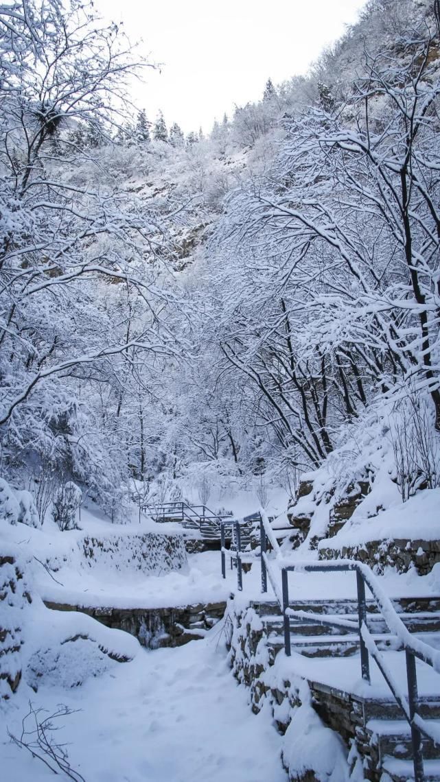 行囊|背上行囊出发，冬日潭溪山