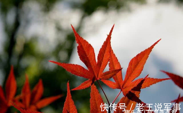 旧爱|5天后，旧情复燃，和旧爱来去自如，月老相赠，旧爱回归