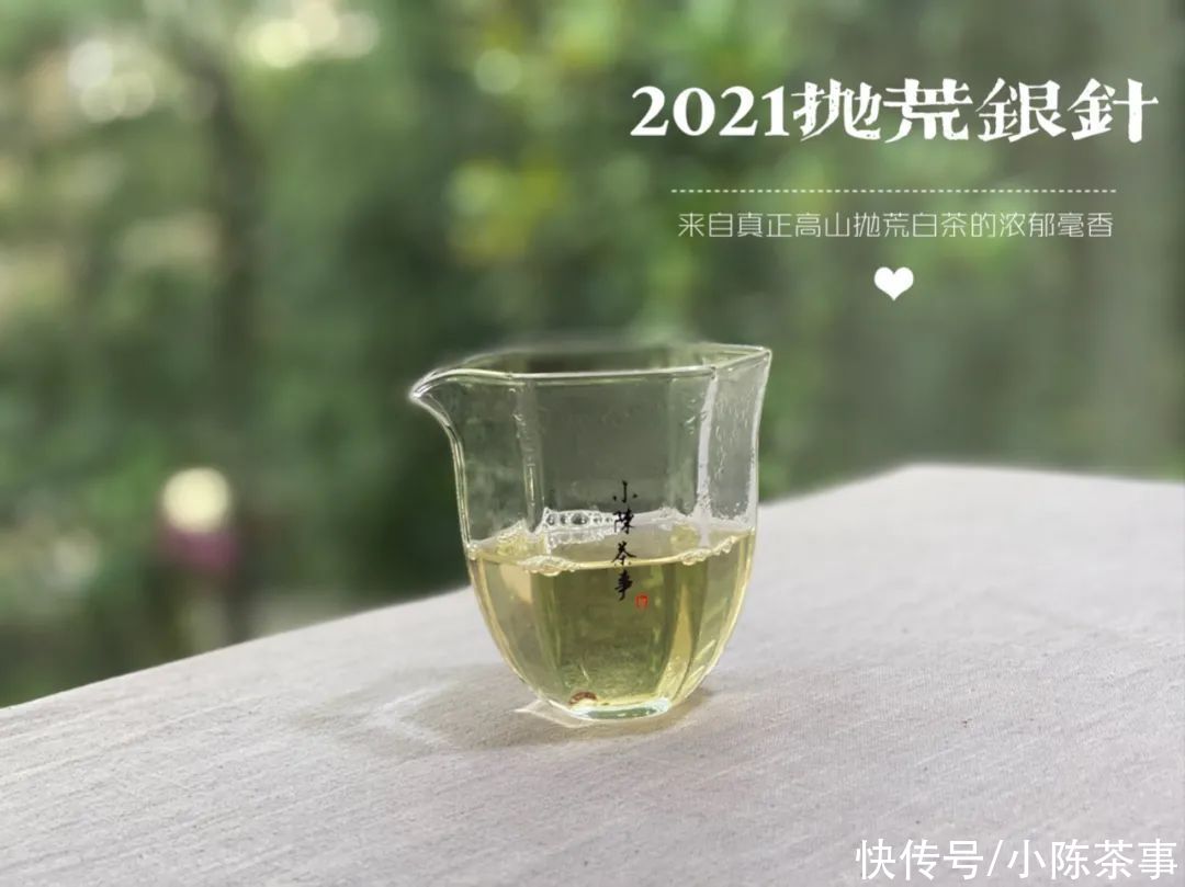 铁观音|煮茶、盲目追“老白茶”、紫砂壶冲泡，说说白茶新手的入门三板斧