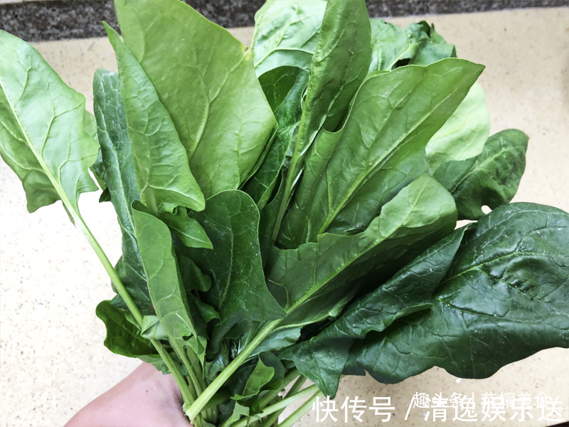 买菠菜时,选“长”还是选“短”的牢记“3不买”,别随便买了