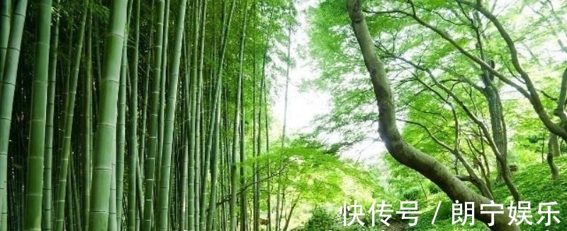 杨万里@范成大最经典的一首六言绝句,同样也被低估了,通篇美得令人心醉