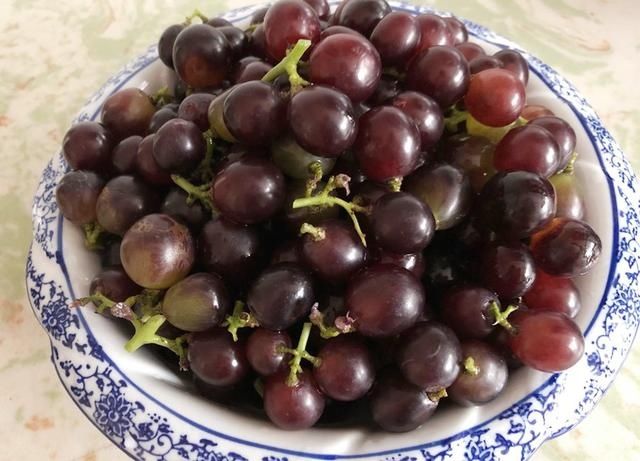 葡萄粒|洗葡萄时，有人加盐有人加碱，都不对！教你正确做法，太干净了