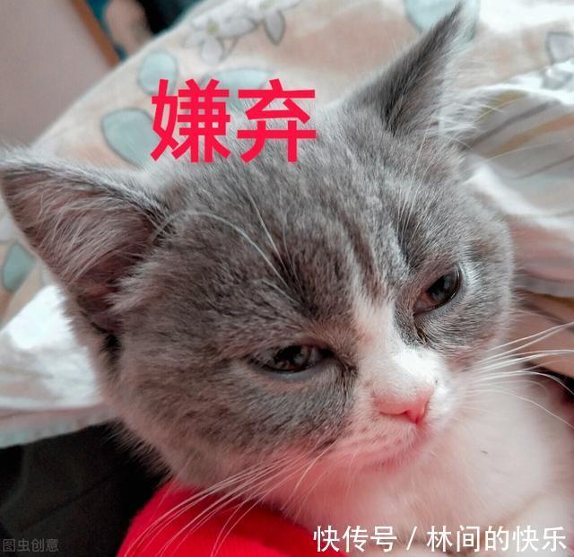 经典的十大搞笑废话文学,你笑了吗?