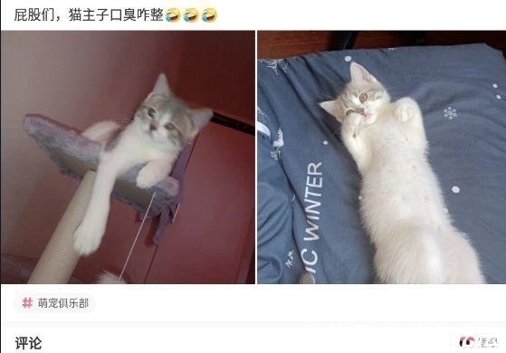 |沙雕段子:吃了止痛药再去打架,是不是就会变成没有感情的打架机器?