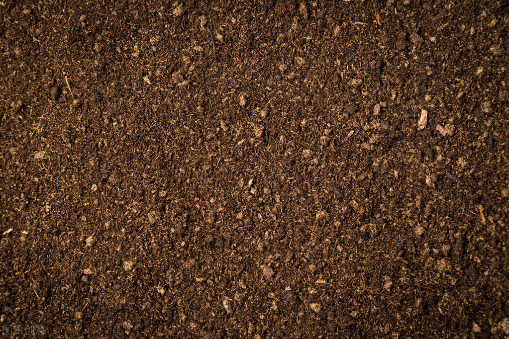  种土壤|居家养花必知常识：选好土壤才能养好花