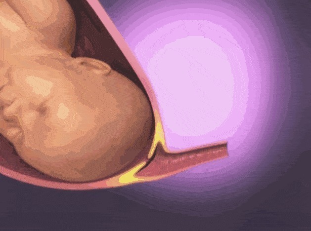 妈妈们|顺产分娩时,胎宝宝是自己爬出来的还是妈妈挤出来的真相暖心