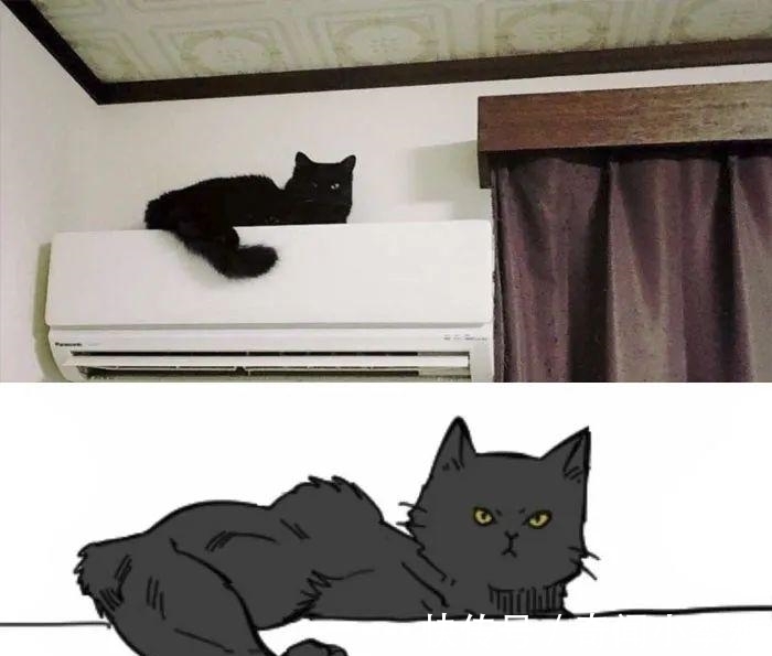 错觉！10个让人产生错觉的照片，被插画家涂抹几笔后，才能看懂