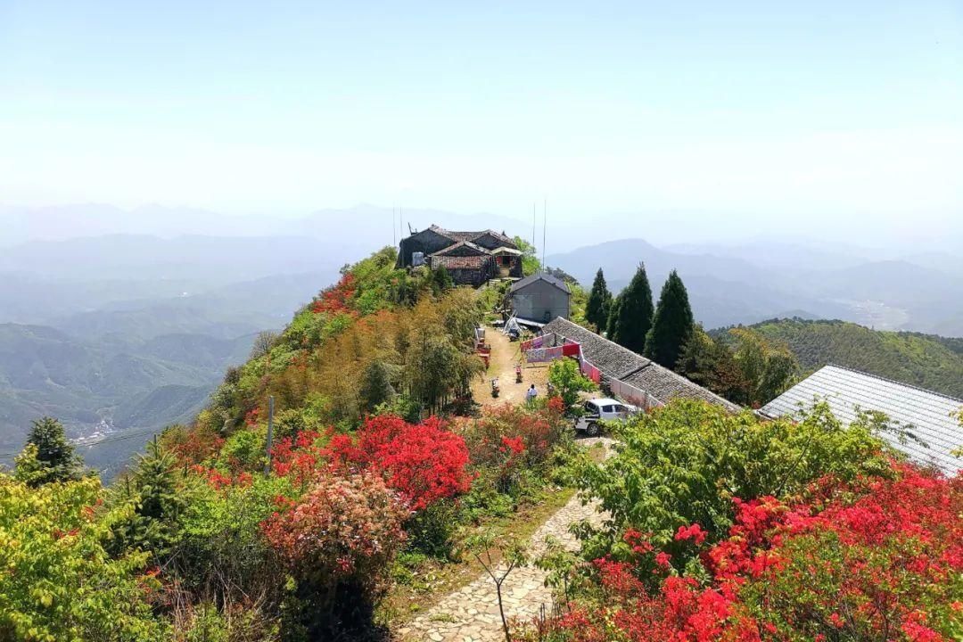 上帝偏爱的山水秘境！日出云海，观星赏花……这个浙南宝地是藏不住啦~