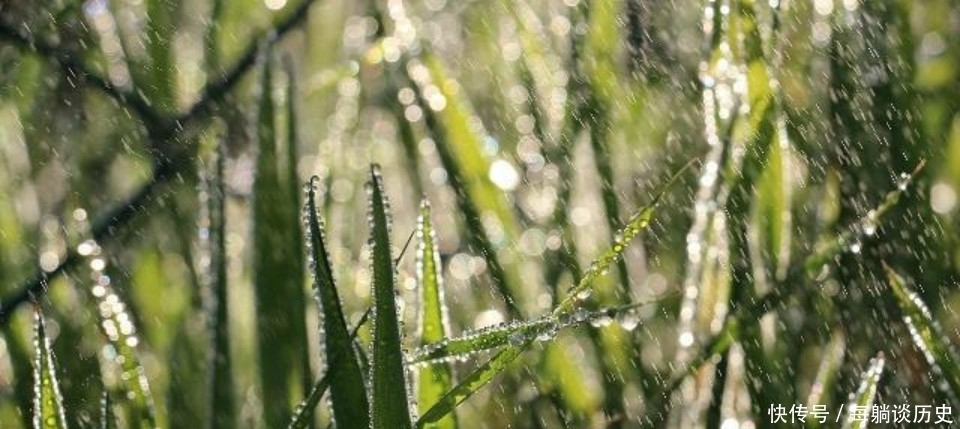 低估|杨万里这首诗美得令人惊艳,但很显然被低估了,也是难得的佳作