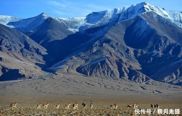 无人区|中国4大无人区，飞禽不敢穿越夏季最高70℃，涨知识了