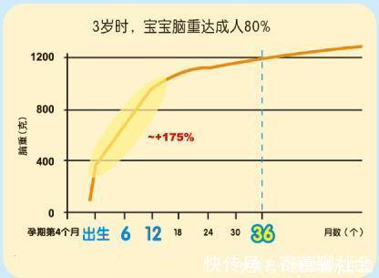 发育|宝宝醒后三个表现=先天高智商,没中的赶紧抓住这个脑发育黄金期