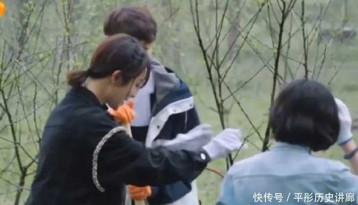 黄磊|张艺兴《向往5》从不喝特仑苏,不是不能是不敢,一口赔偿上百万