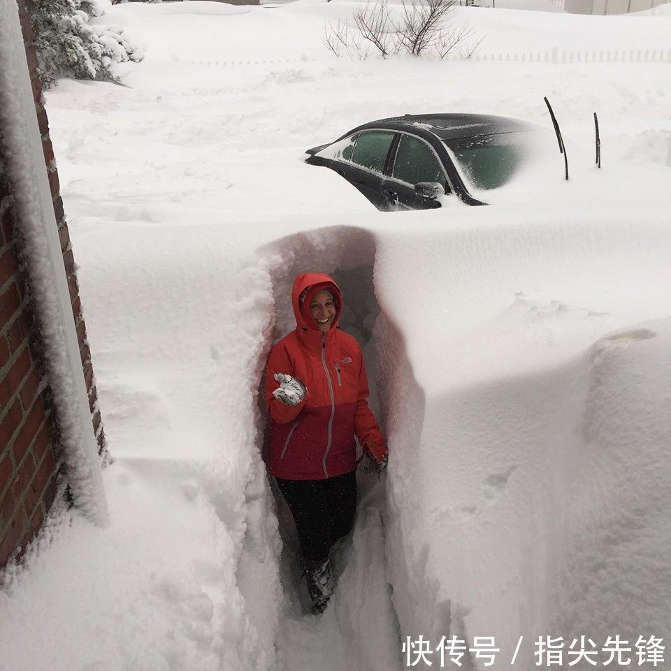 西部世界|看到它，美国人都会忍不住喊一句：“草！”