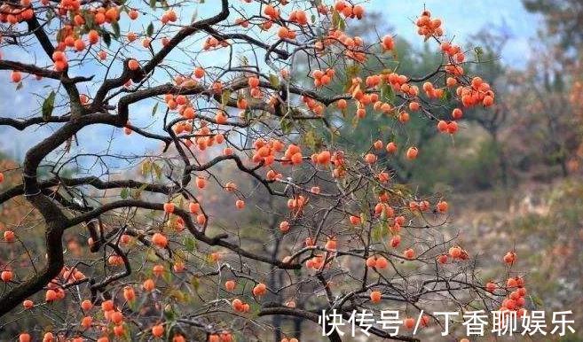 鱼籽|子宫光滑的女性，均爱吃以下4种食物，缓解痛经，预防子宫早衰！