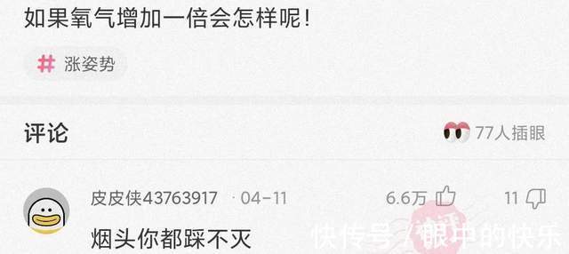 |搞笑合集:村子里有一群神秘人,整日打牌不愁吃喝,哪来的钱