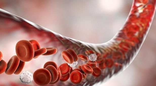 高热量|转告家人:40岁后,5种食物最好别碰,少给血管“添堵”!