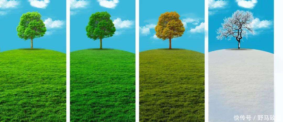 五种关于时间的假说刹那即永恒、时间倒流,时间是幻觉等