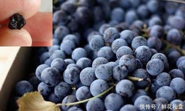 零食|女人不想老太快,此果每天当零食吃一把,气血足了,皱纹偷偷溜走