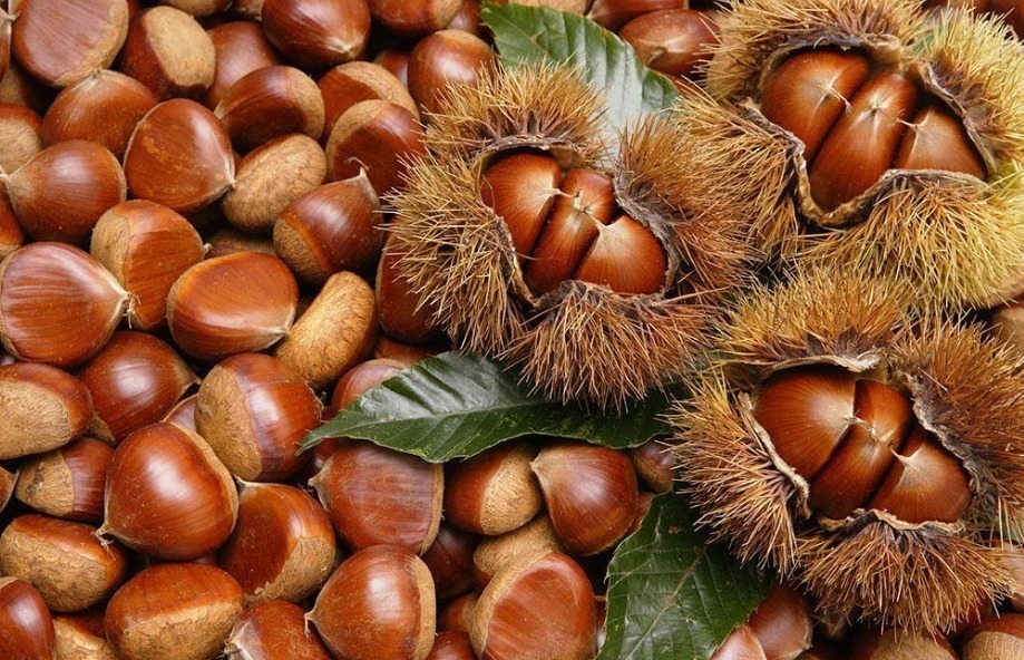 粮谷类|栗子和此物一起煮,失眠好了,大肚子平了,不想每天疲惫不堪试试