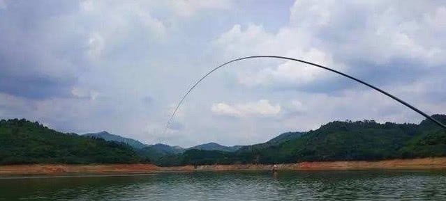 给你个忠告:秋钓鲤鱼就用这“硬招”,鱼竿瞬间就是一个大弯弓