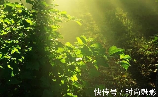 舴艋|诗词|有没有那样一首古诗词,令你“难以启齿”?