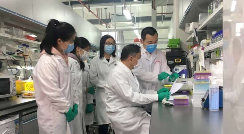 复旦大学|复旦上医老中青三代教师与病毒“赛跑”