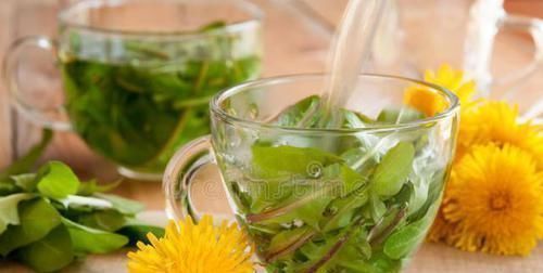 伤害|蒲公英泡水好处多,但2类人尽量一口也别喝,会对身体造成伤害