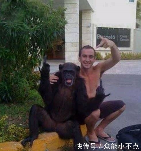 |搞笑图片幽默段子笑话:哈哈哈,不知道大哥你哪来的自信啊