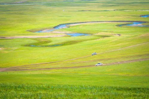 暮鸦#诗词:雨霁秋林见暮鸦,人形雁阵弄新霞