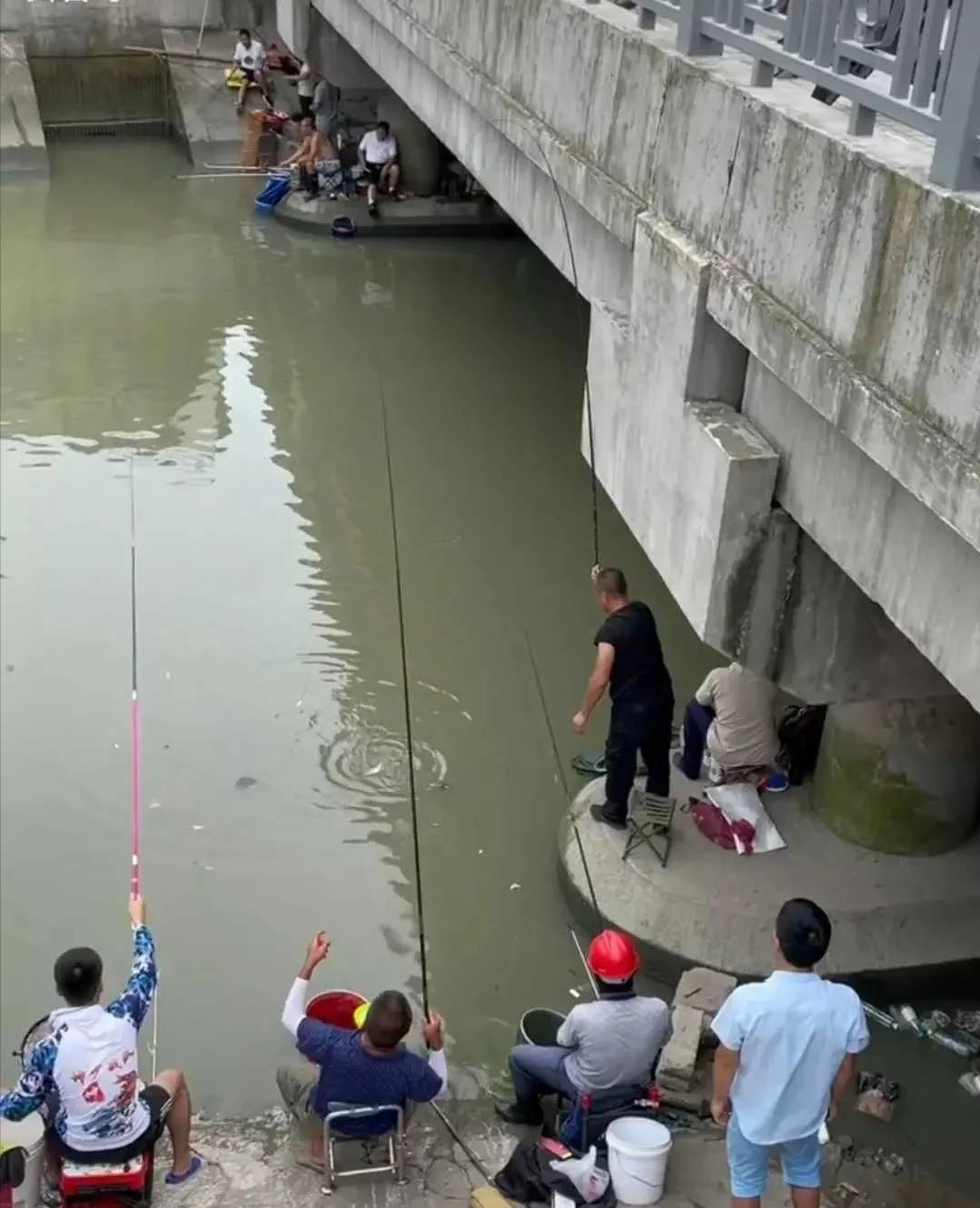 上海与众不同的“黑坑”,钓鱼不要交费,每天都有成百上千人聚集