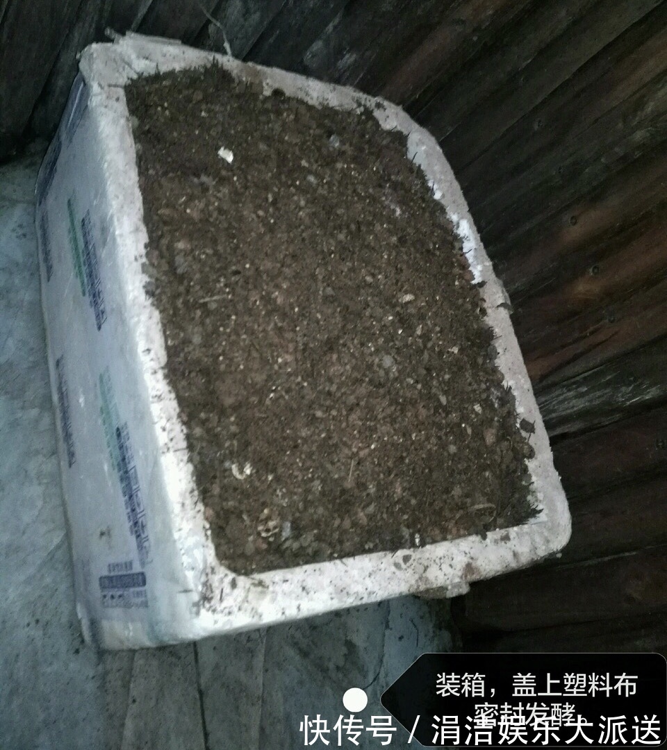 自制1种“混合土”，君子兰、绿萝最喜欢，1分钱不花，根旺叶绿