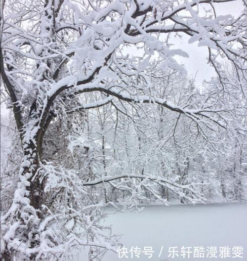 诗词|诗词七律《大雪》