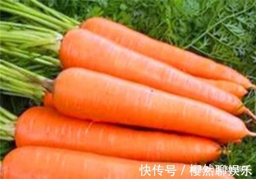 黄花菜|凉爽的秋天来了,建议您常吃3种食物,有助睡眠,增强抵抗力