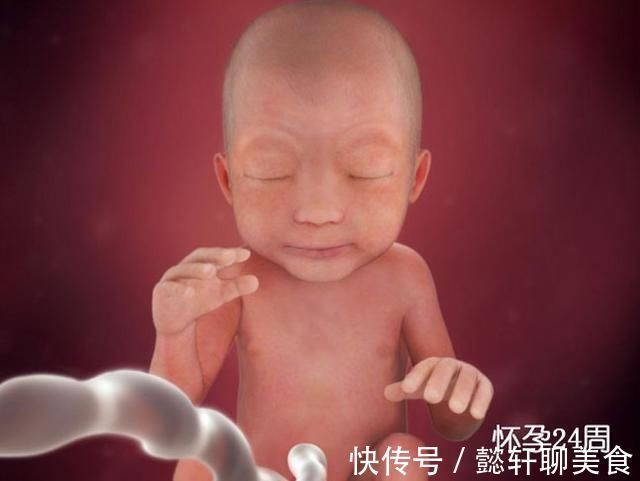 胚泡|组图了解胎儿在子宫中的生长过程,生命太奇妙了!准爸妈们看看