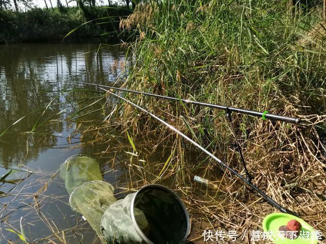 套路|钓了3条鱼,赔偿5万元,难道被塘主“套路”事情没这么简单!