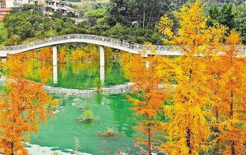 臭水沟变风景区 三峡移民村吃上“旅游饭”