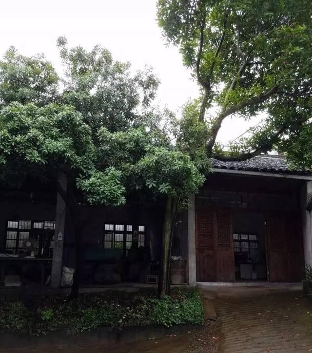 古越@他造的三把剑，一把卖出高价，一把开创历史，一把为金庸所邀