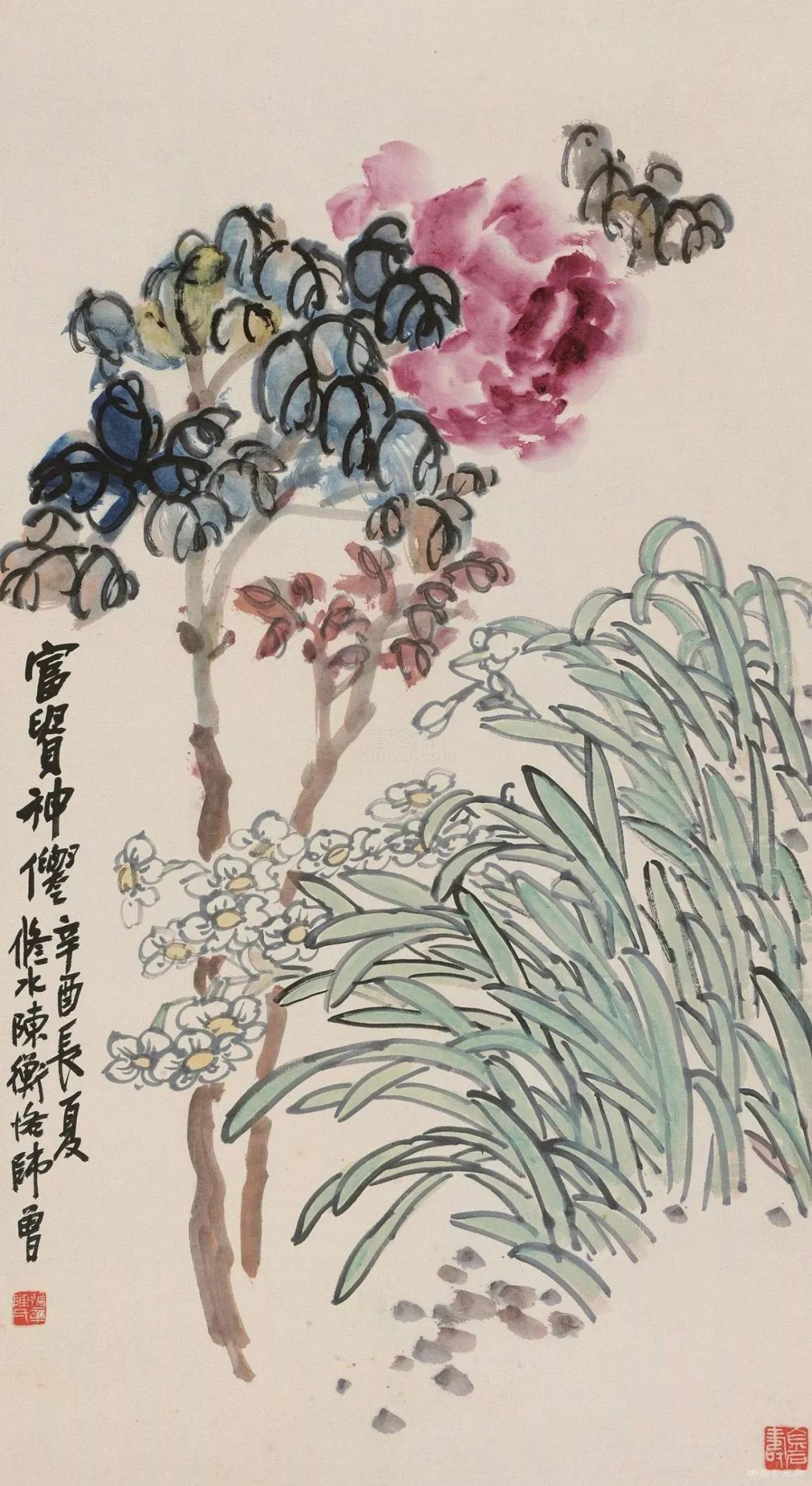 图片