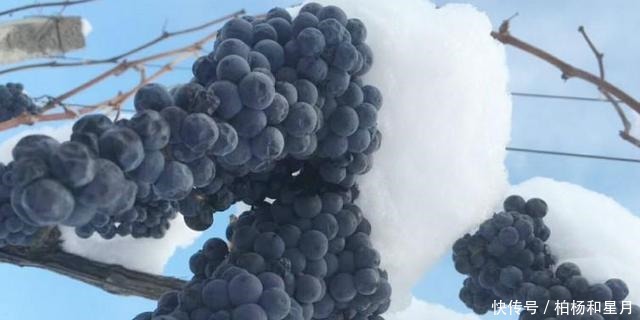  辽宁本溪这四种特产，一个比一个美味，看着就让人“垂涎欲滴”！