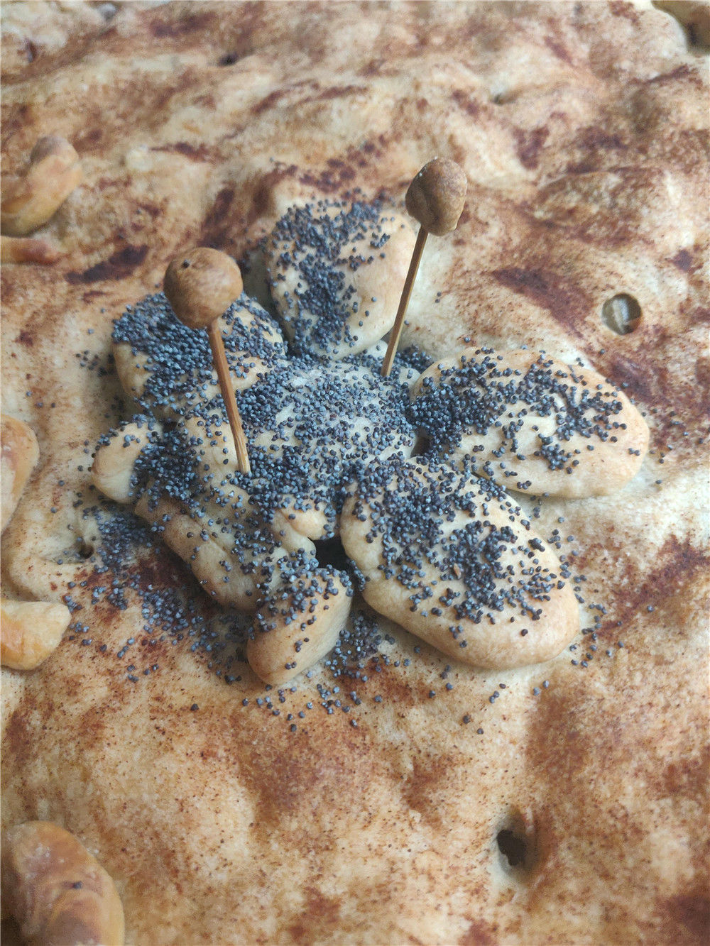 一块梨子派里的中俄航天合作