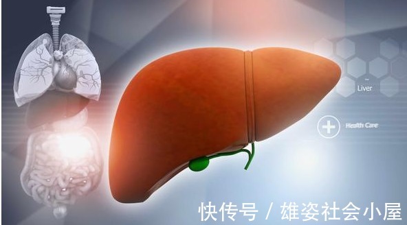 肝脏|肝脏癌变前,上半身或有这4个状况,若你有,希望你别再拖了!