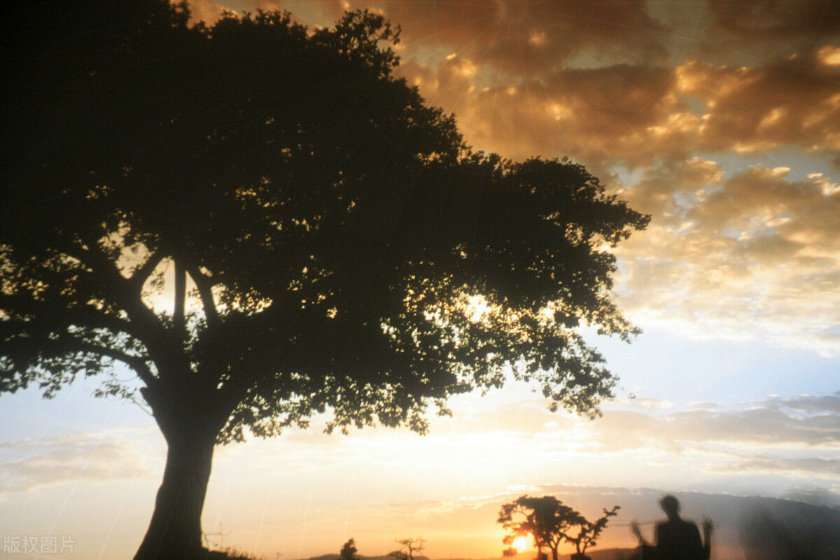 庄公|最高级的智慧:敬畏