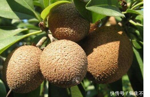 超市很常见的3种食物,健脑益智,提高记忆,好吃又健康