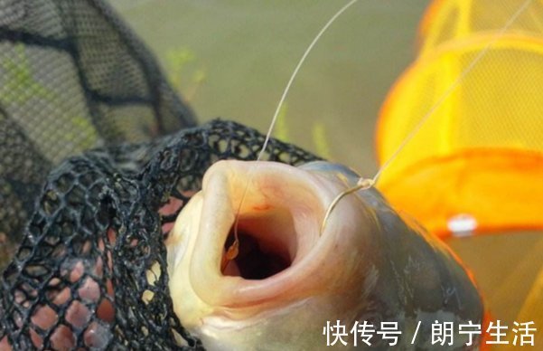 晴天|这5种情况鱼不会咬钩，逢钓必空军，快点避开这些误区