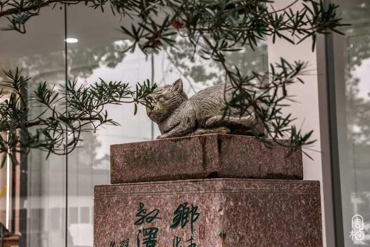 丰子恺和周小柚都说：石门是个好地方