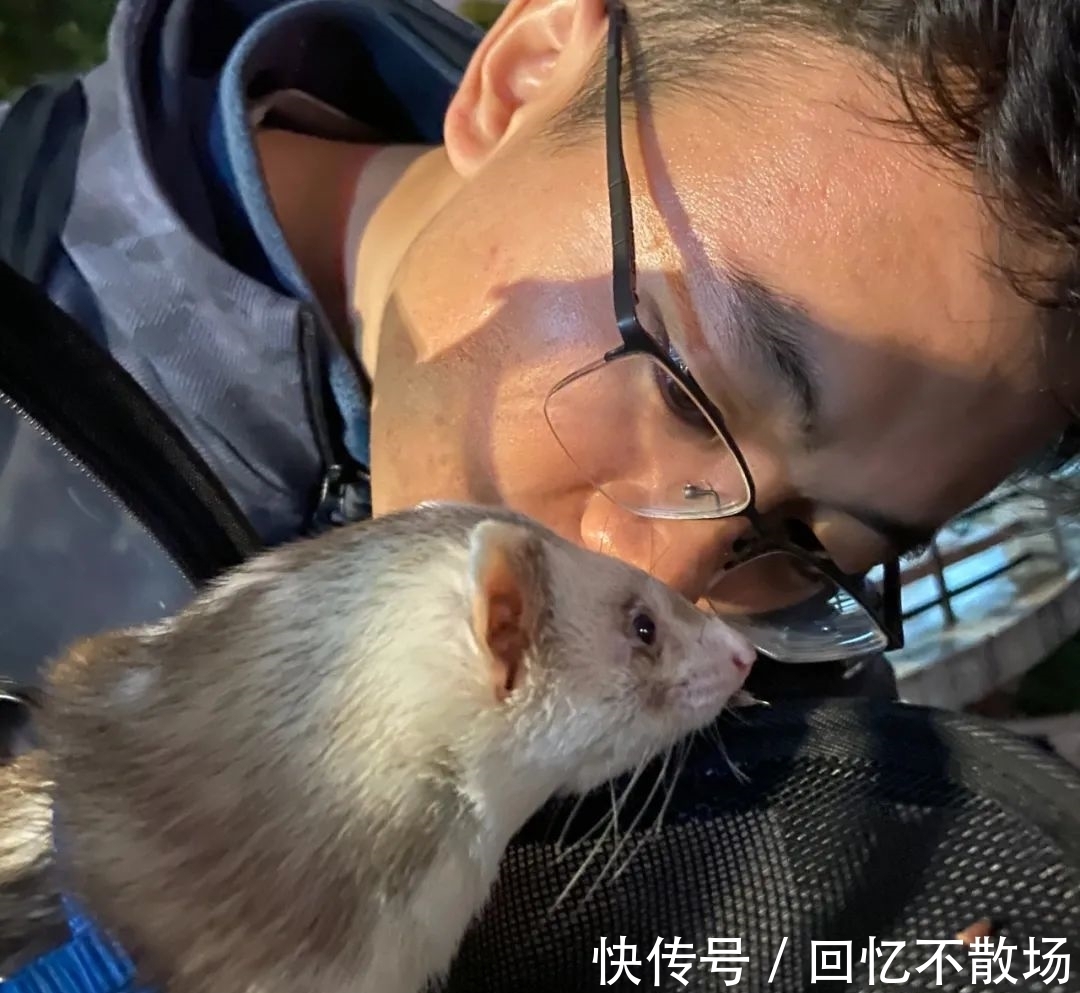 爸爸回來|懶得吃懶得動懶得上廁所,當(dāng)代青年人有多懶,你根本想不到